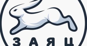 канал заяц отзывы